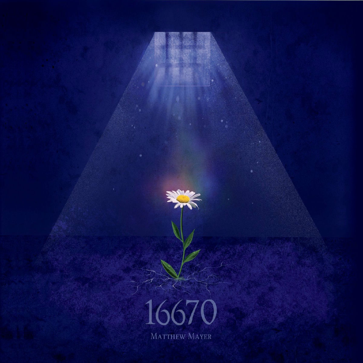 Album cover of 16670