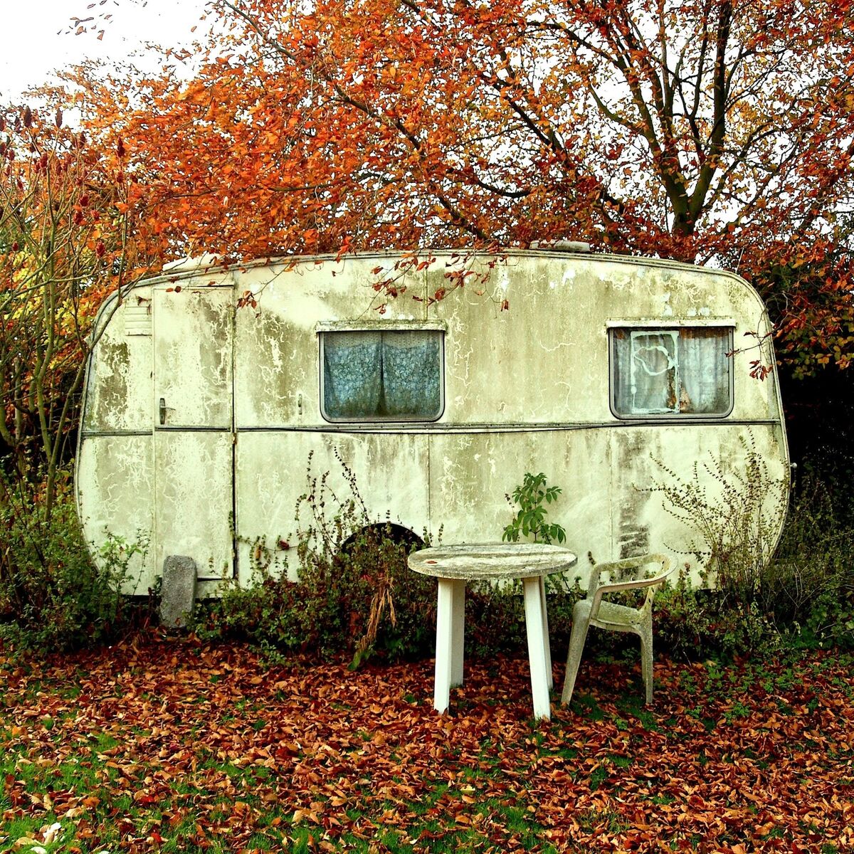 Album cover of Hollow Ponds