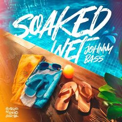 Cover of Soaked Wet