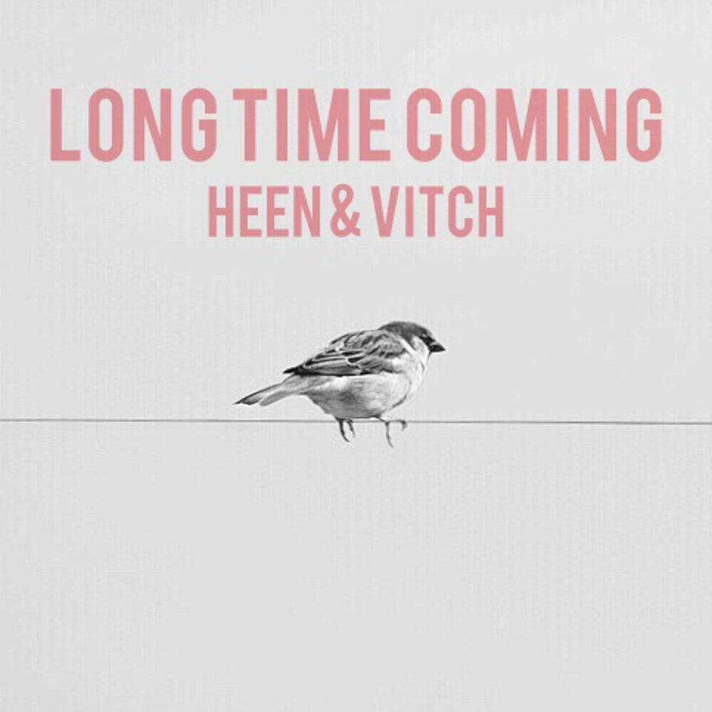 Picture of Long Time Coming