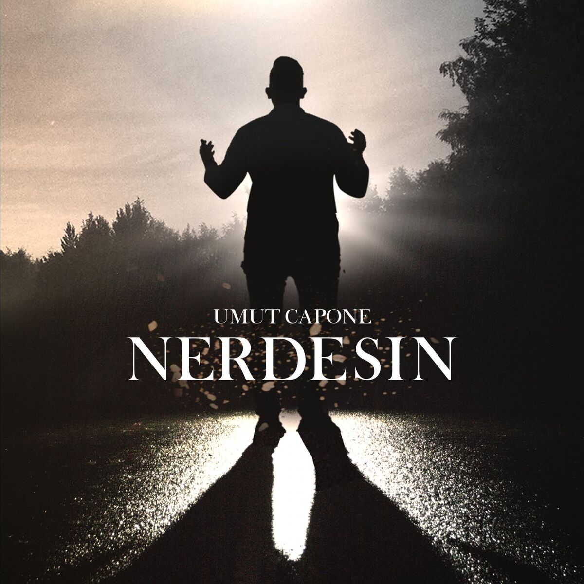 Album cover of Nerdesin