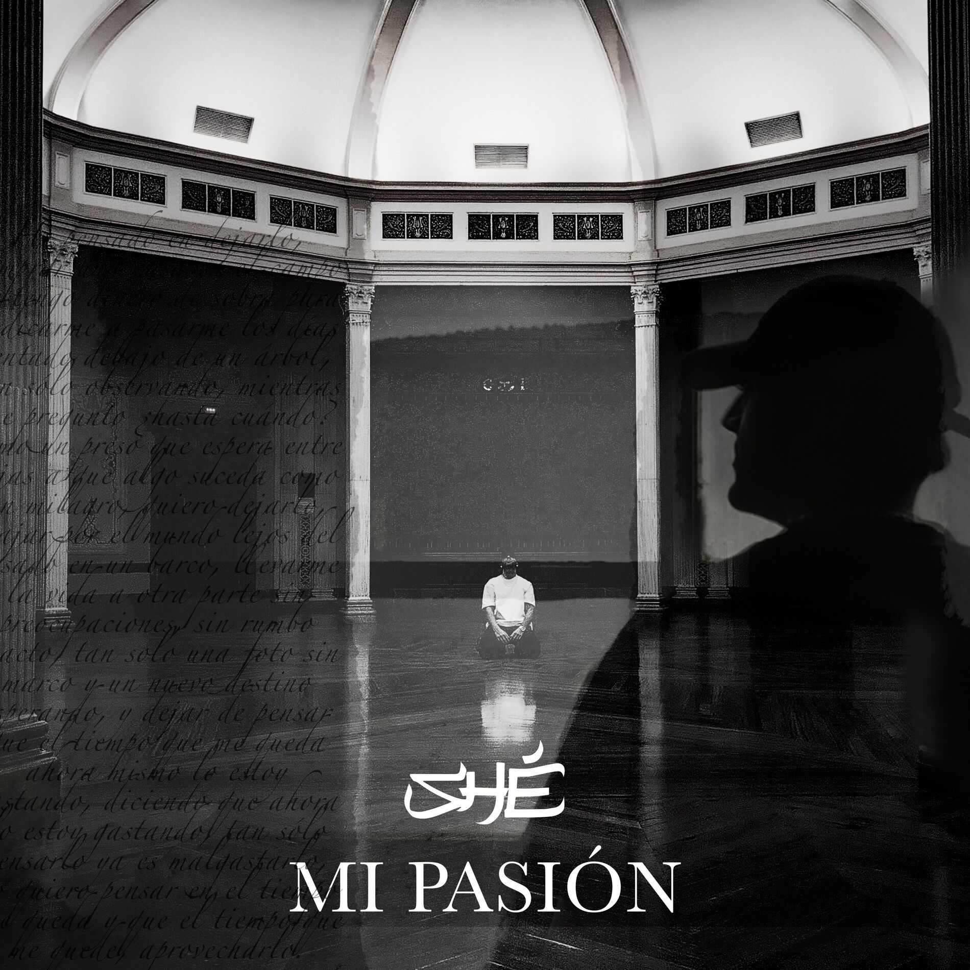 Album cover of Mi Pasión