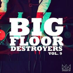 Cover of Big Floor Destroyers Vol. 9
