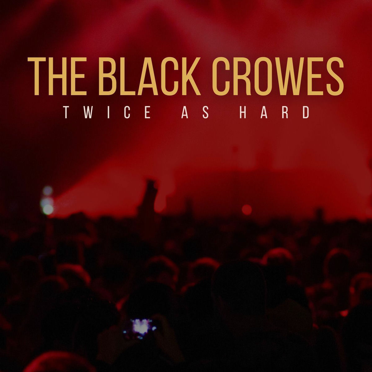 Album cover of Twice As Hard