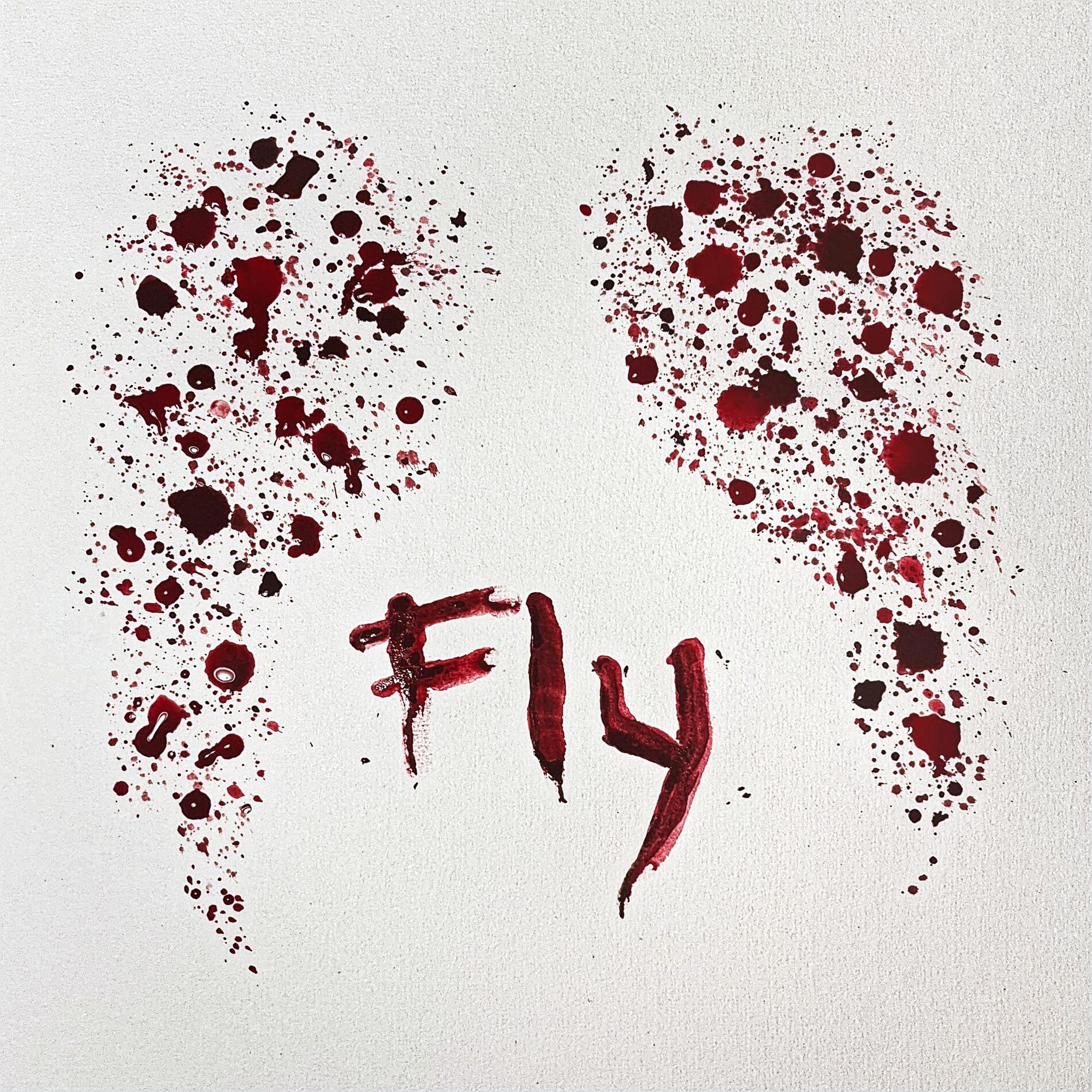 Album cover of Fly (feat. MiMs)