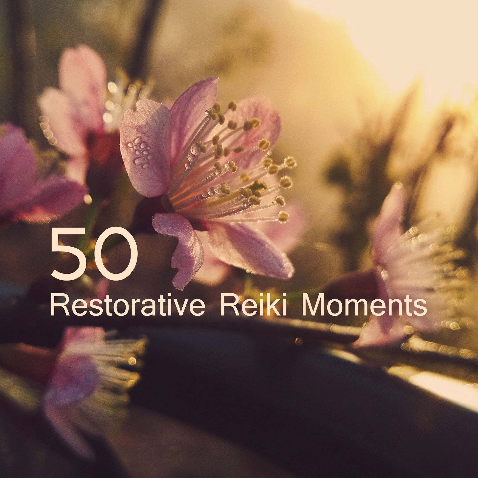 Album cover of Positive Life Circle