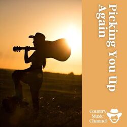 Cover of Picking You up Again