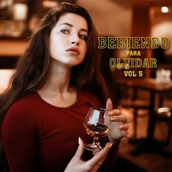 Cover of Bebiendo Para Olvidar, Vol.5