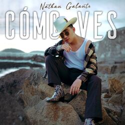 Cover of Cómo Ves
