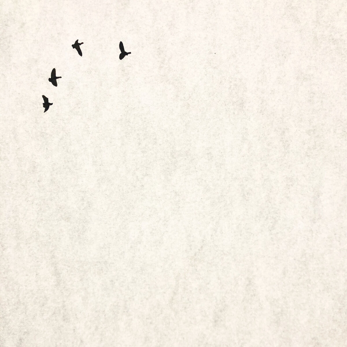 Album cover of Oceans Apart