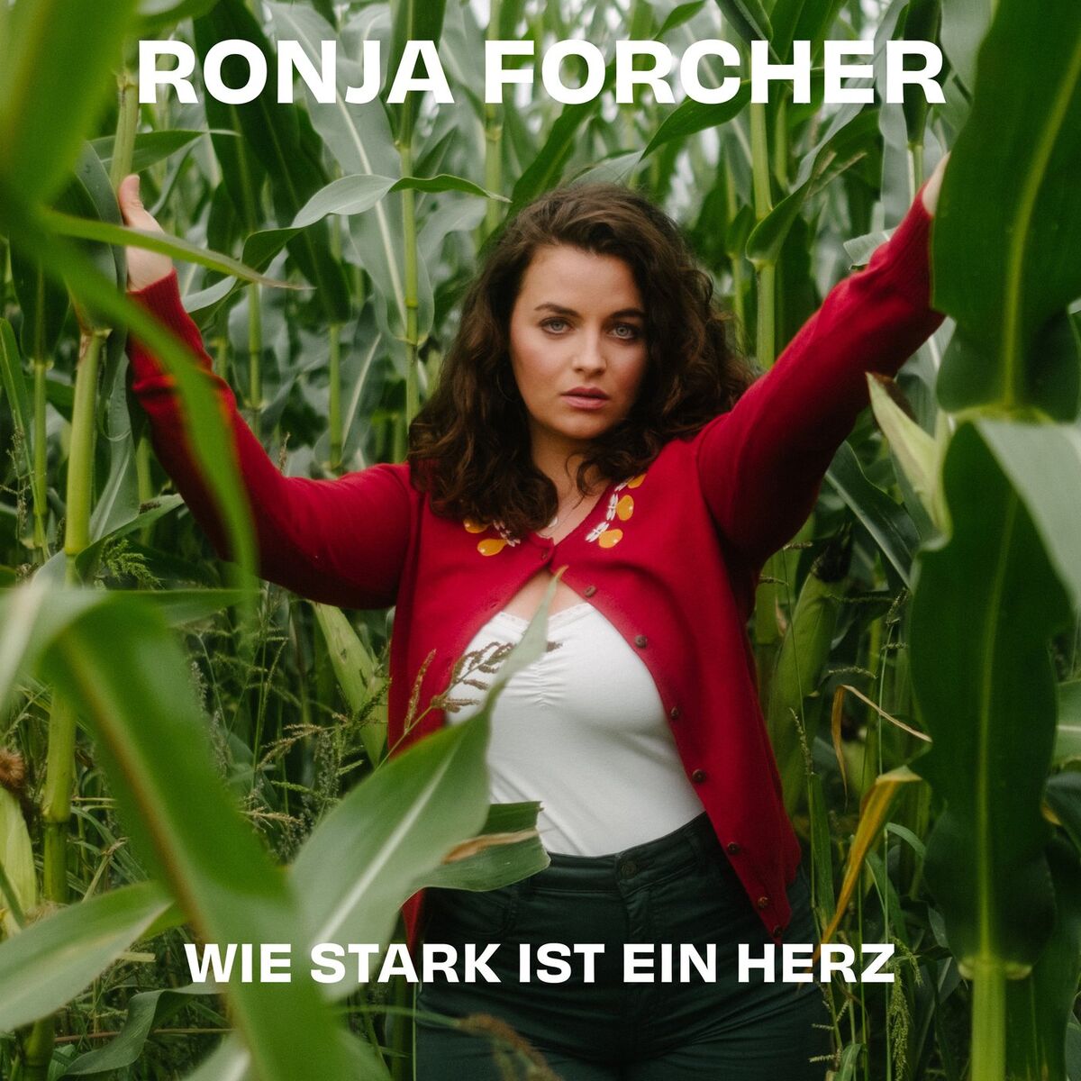 Album cover of Wie stark ist ein Herz