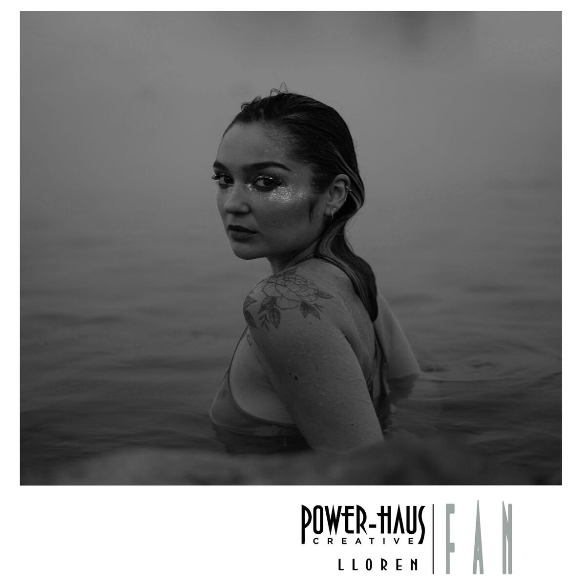 Album cover of FAN