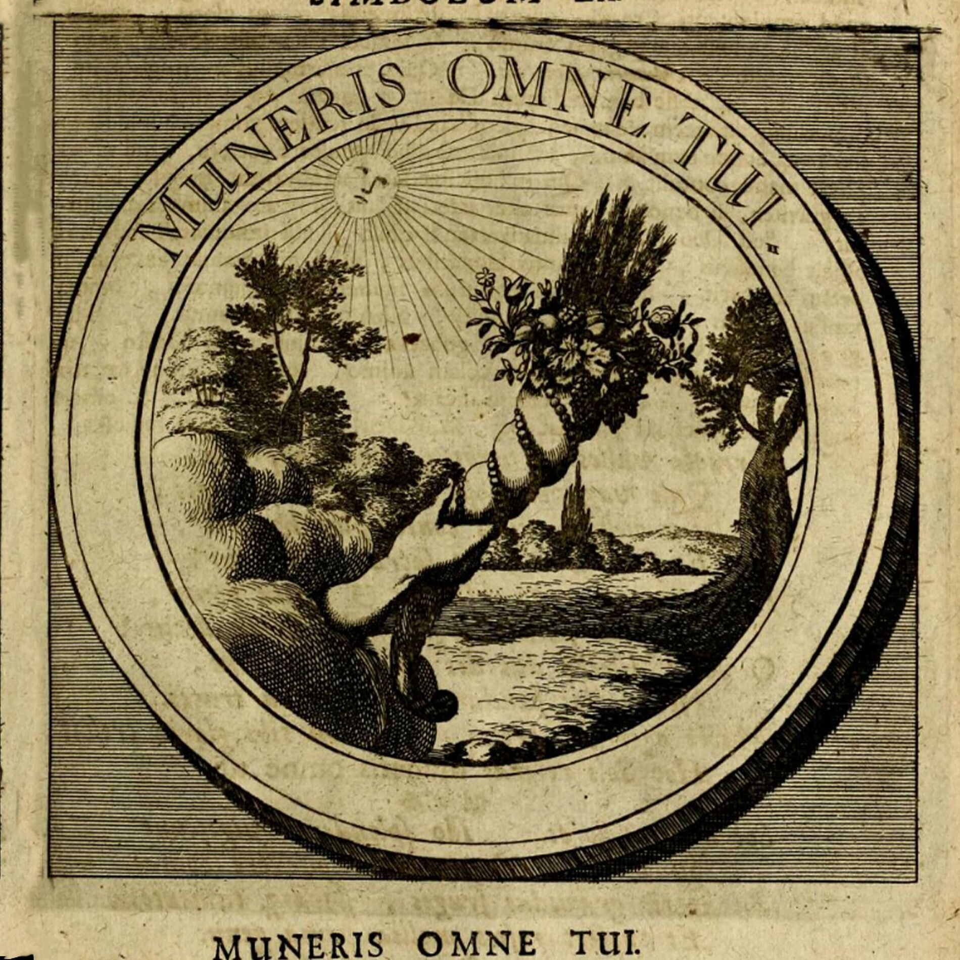 Album cover of Opus Magnum Provası