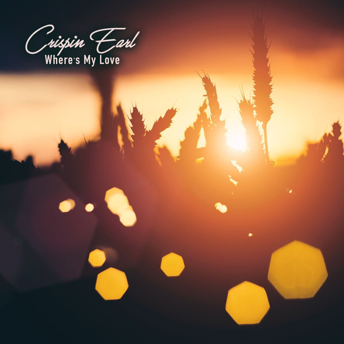 Album cover of Where's My Love