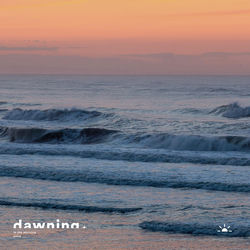 Descargar In the Morning - Avira MP3