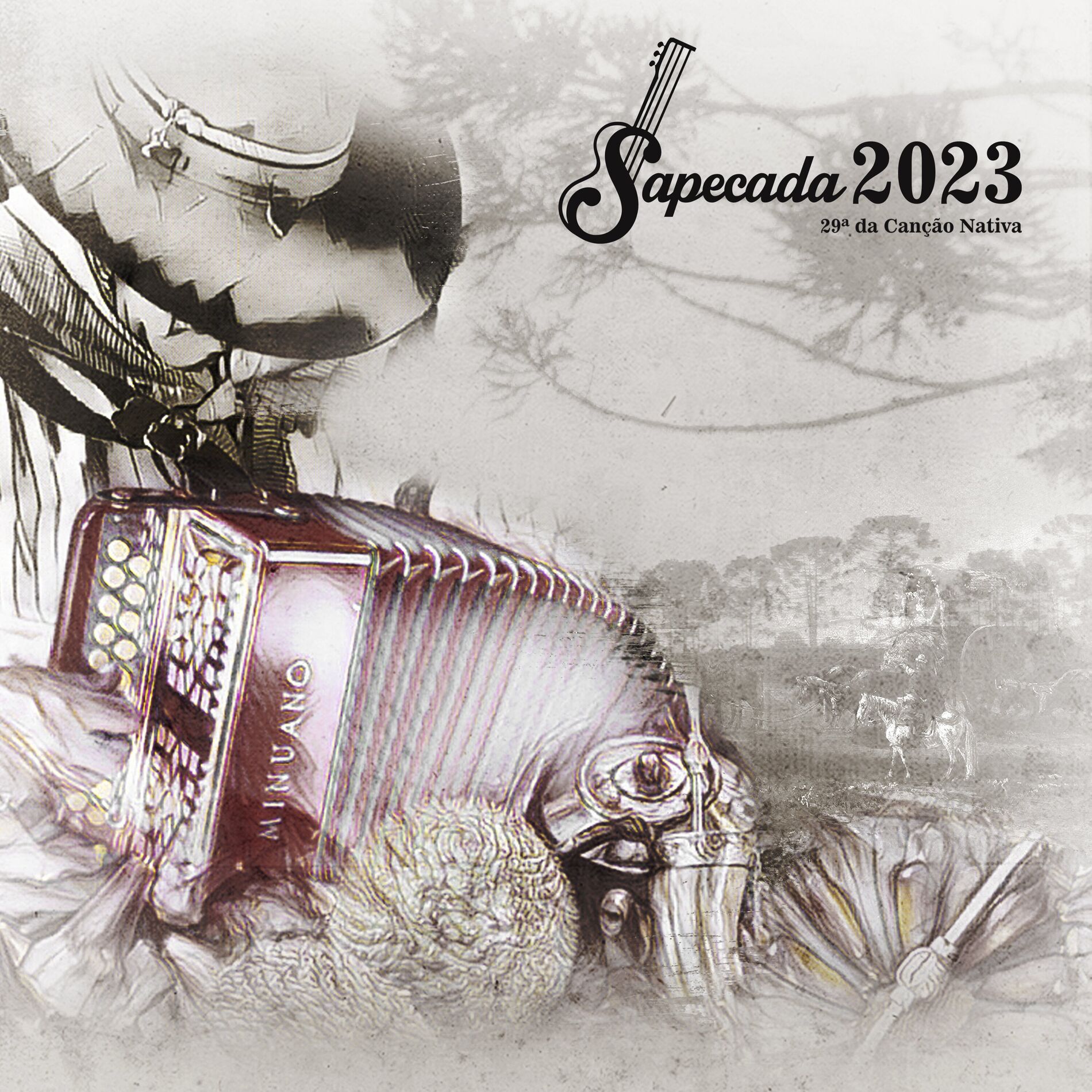 Album cover of 29° Sapecada da Canção Nativa
