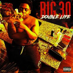 Cover of Double Life