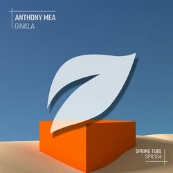 Cover of Ginkla
