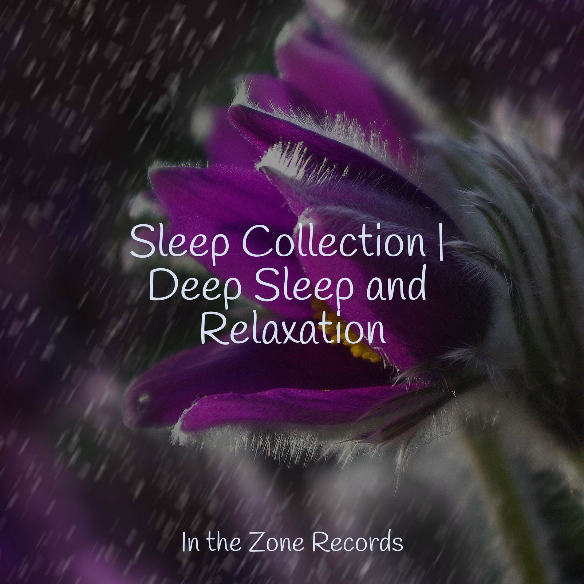 Album cover of Sleep Collection | Deep Sleep and Relaxation