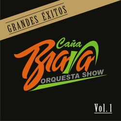 Cover of Grandes Exitos Vol.1