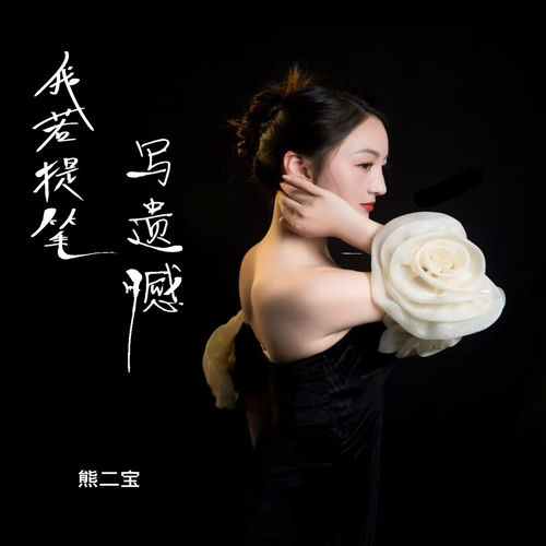 我若提笔写遗憾（节奏版）