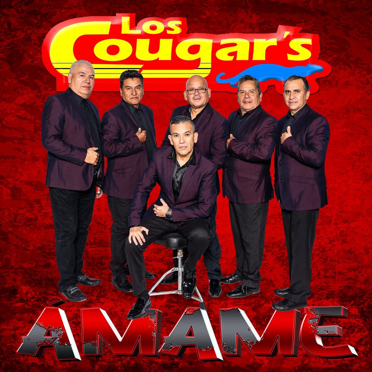 Album cover of Ámame