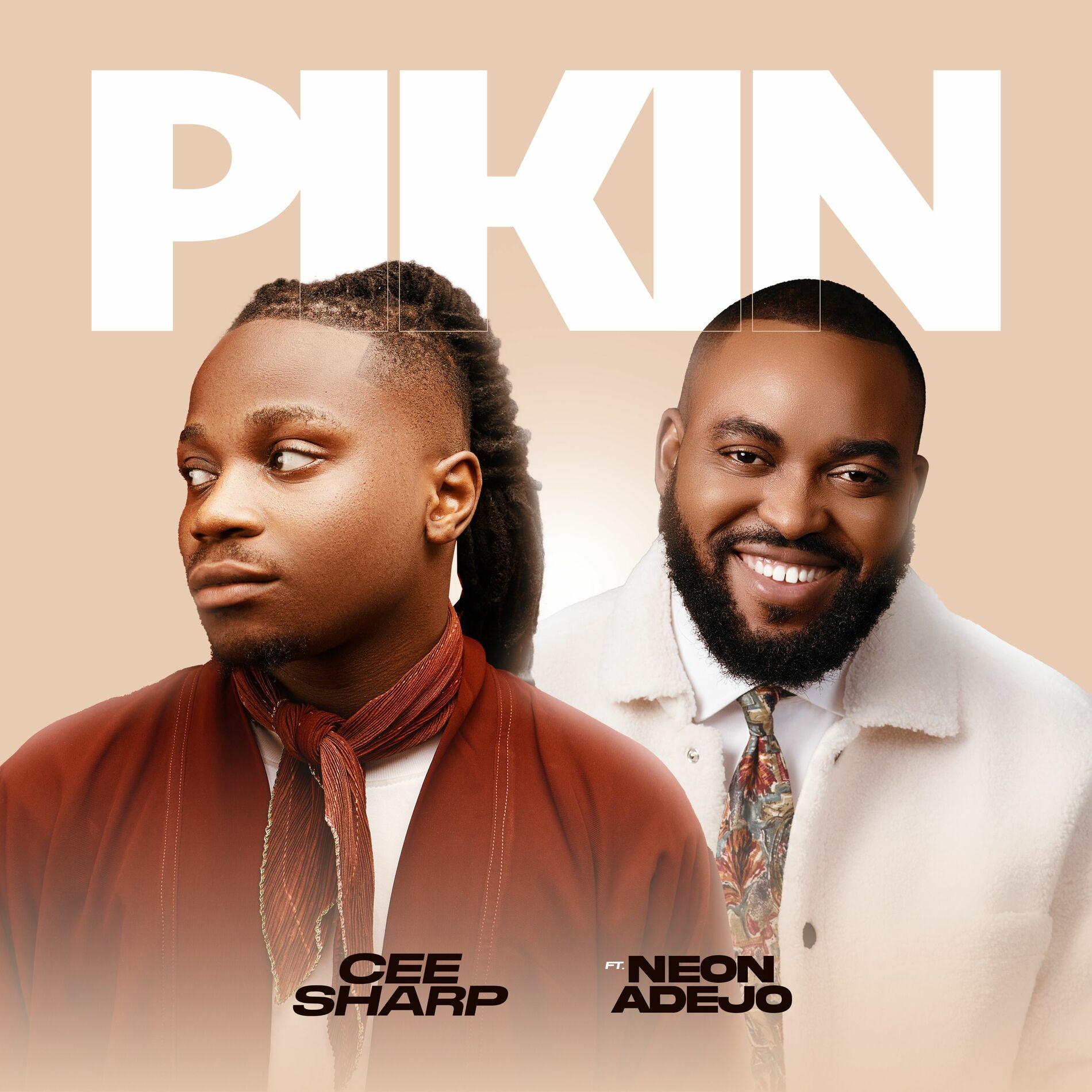 Album cover of Pikin