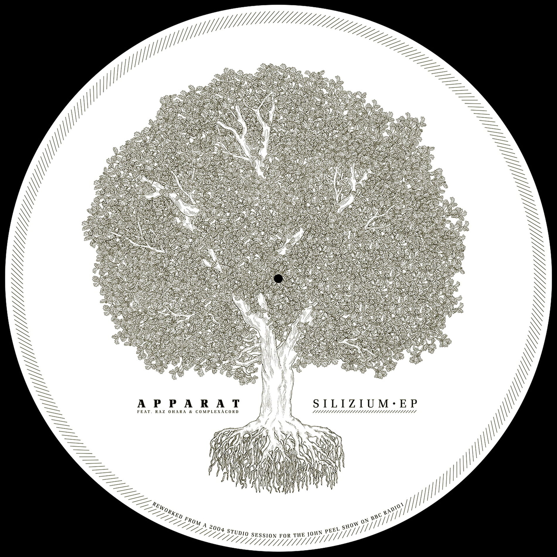Album cover of Silizium EP (Remastered 2019)