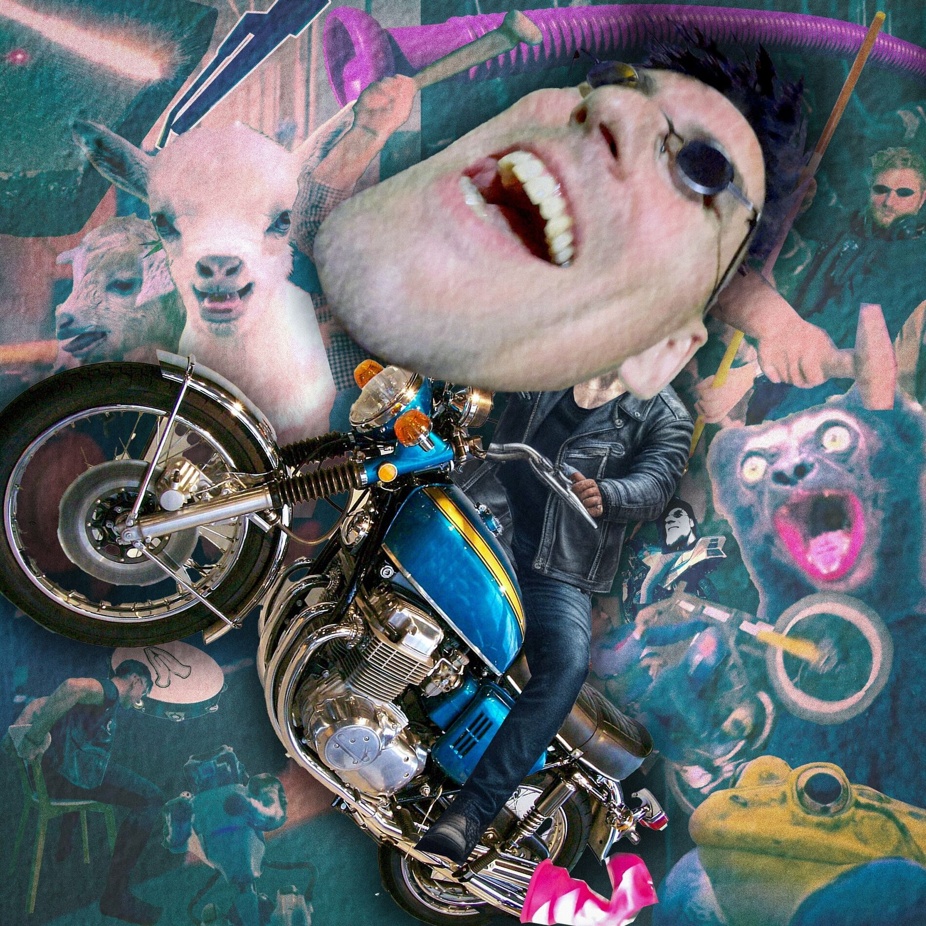 Album cover of Wild Like That