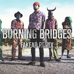 Cover of Burning Bridges (Fakear Remix)