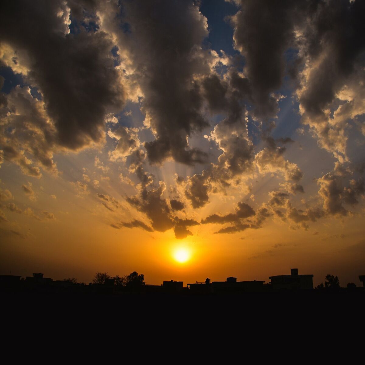 Album cover of warmth