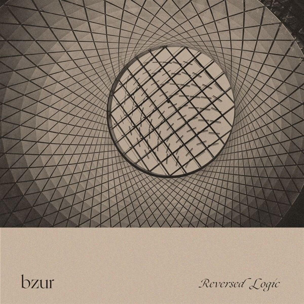 Album cover of Reversed Logic