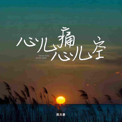 心儿痛心儿空