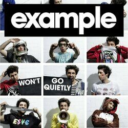 Cover of Won't Go Quietly