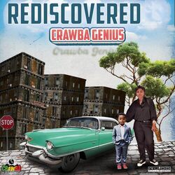 Cover of Rediscovered