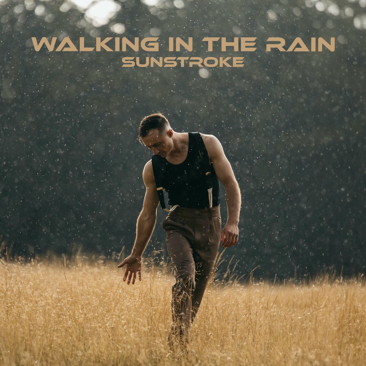 Album cover of Walking In The Rain