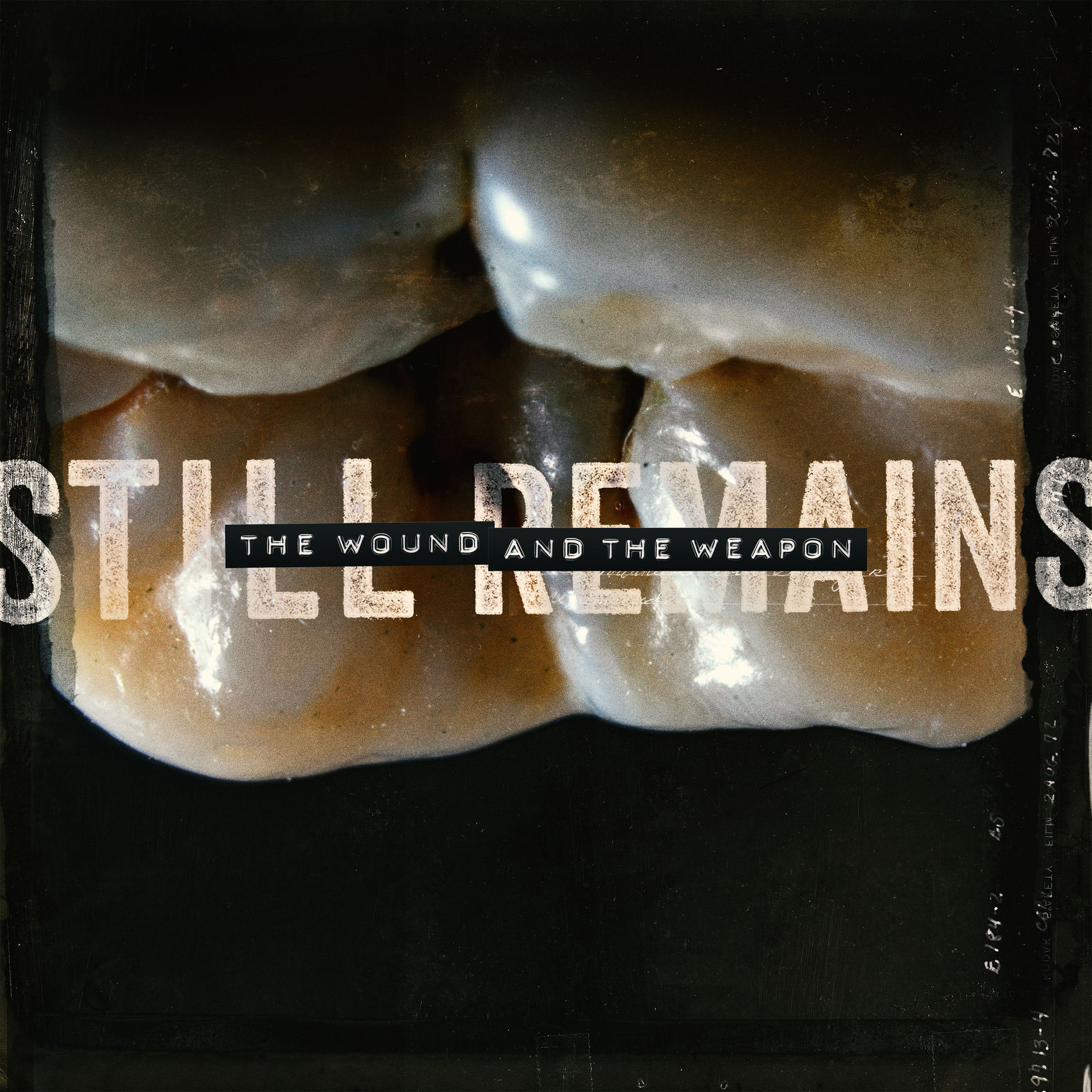 Album cover of The Wound and the Weapon