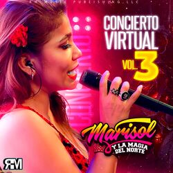Cover of Concierto Virtual, Vol. 3 (En Vivo)