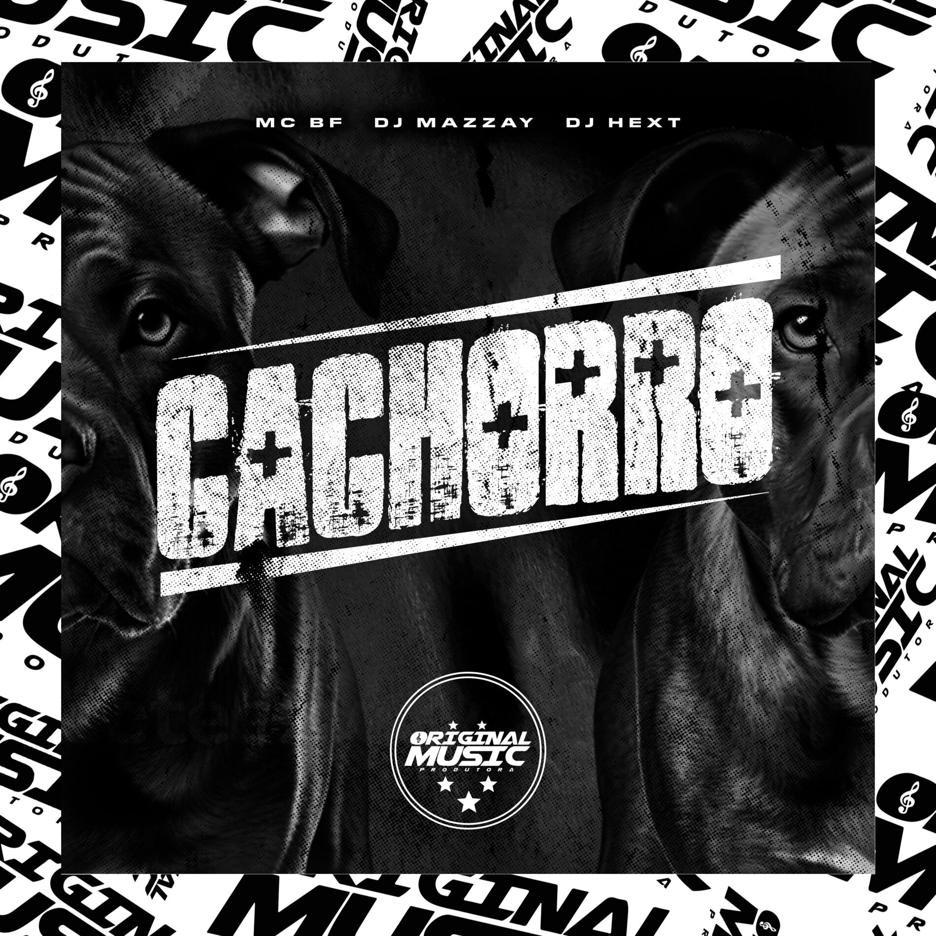 Album cover of CACHORRO