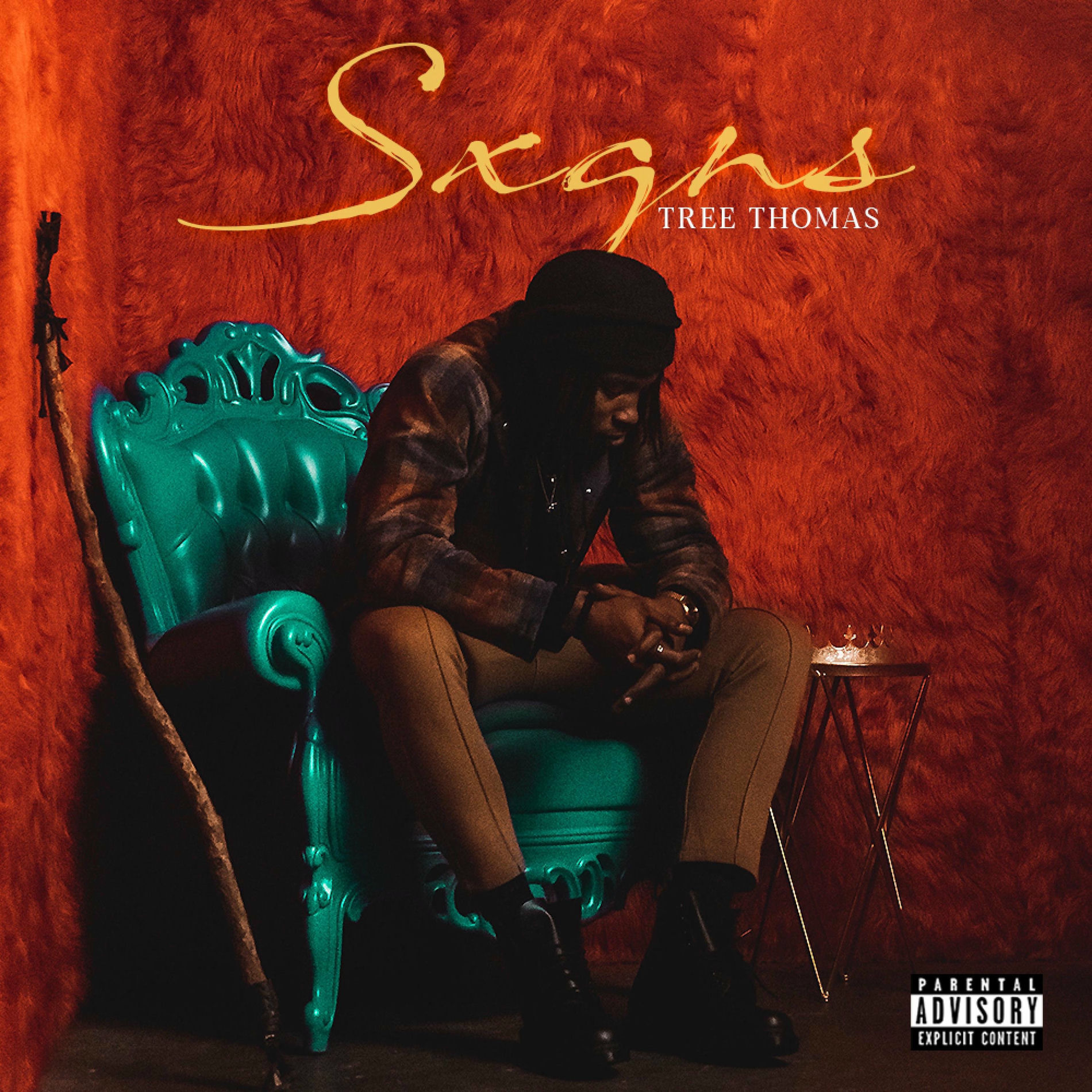 Album cover of SXGNS