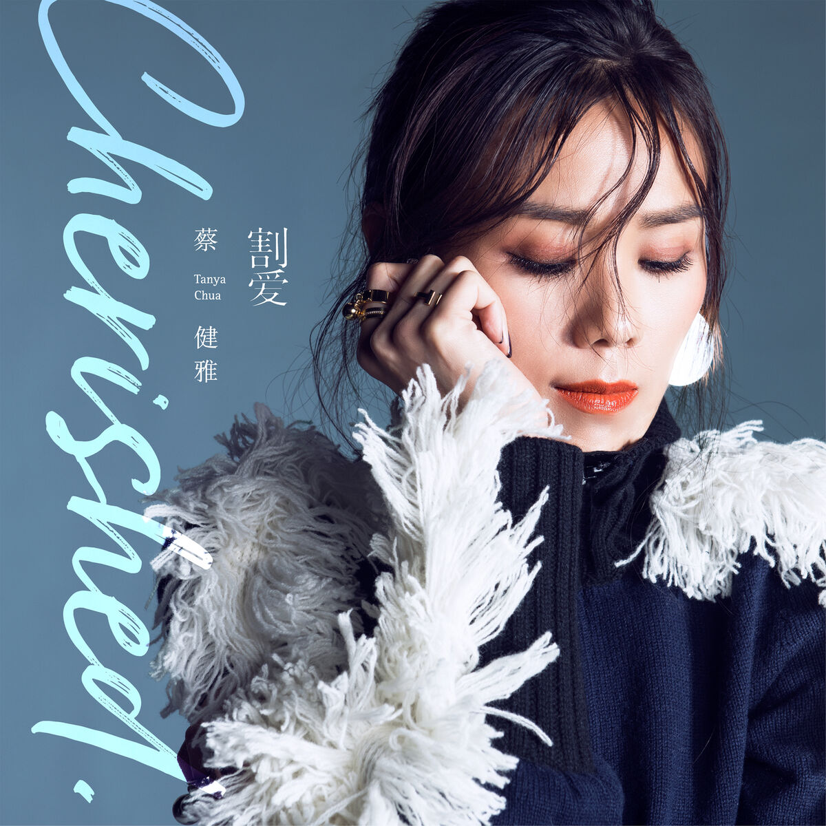 Album cover of Cherished 割爱