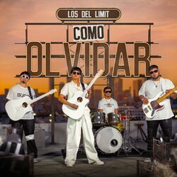 Cover of Como Olvidar
