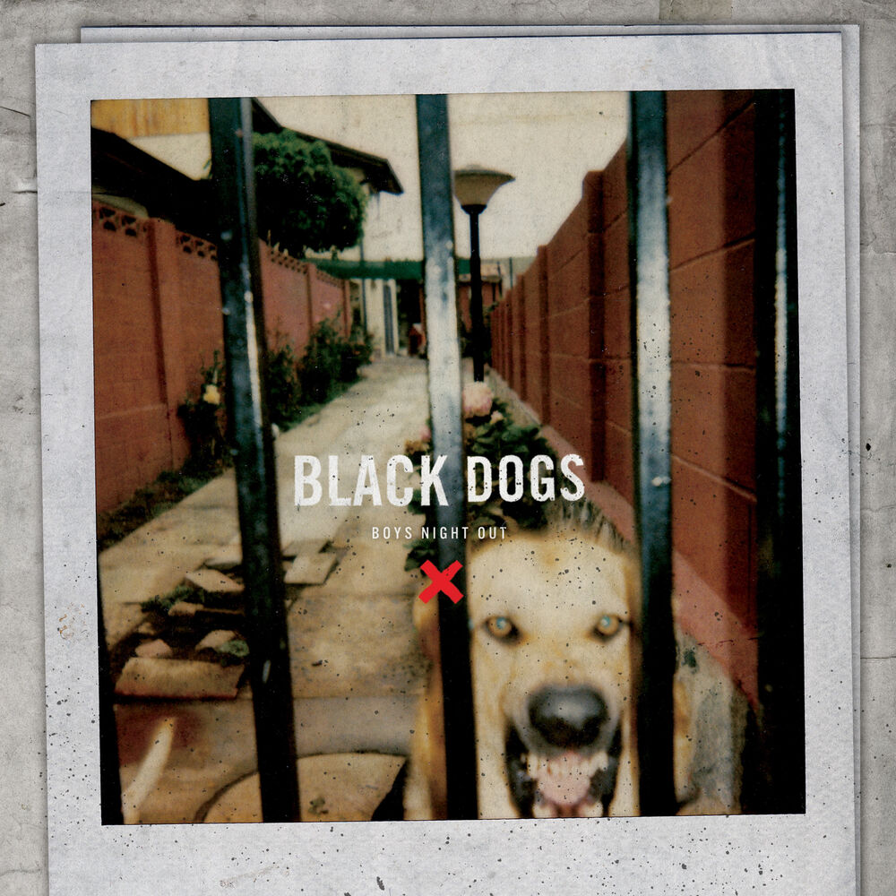 Picture of Black Dogs