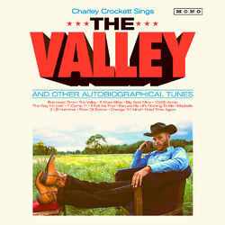 Cover of The Valley