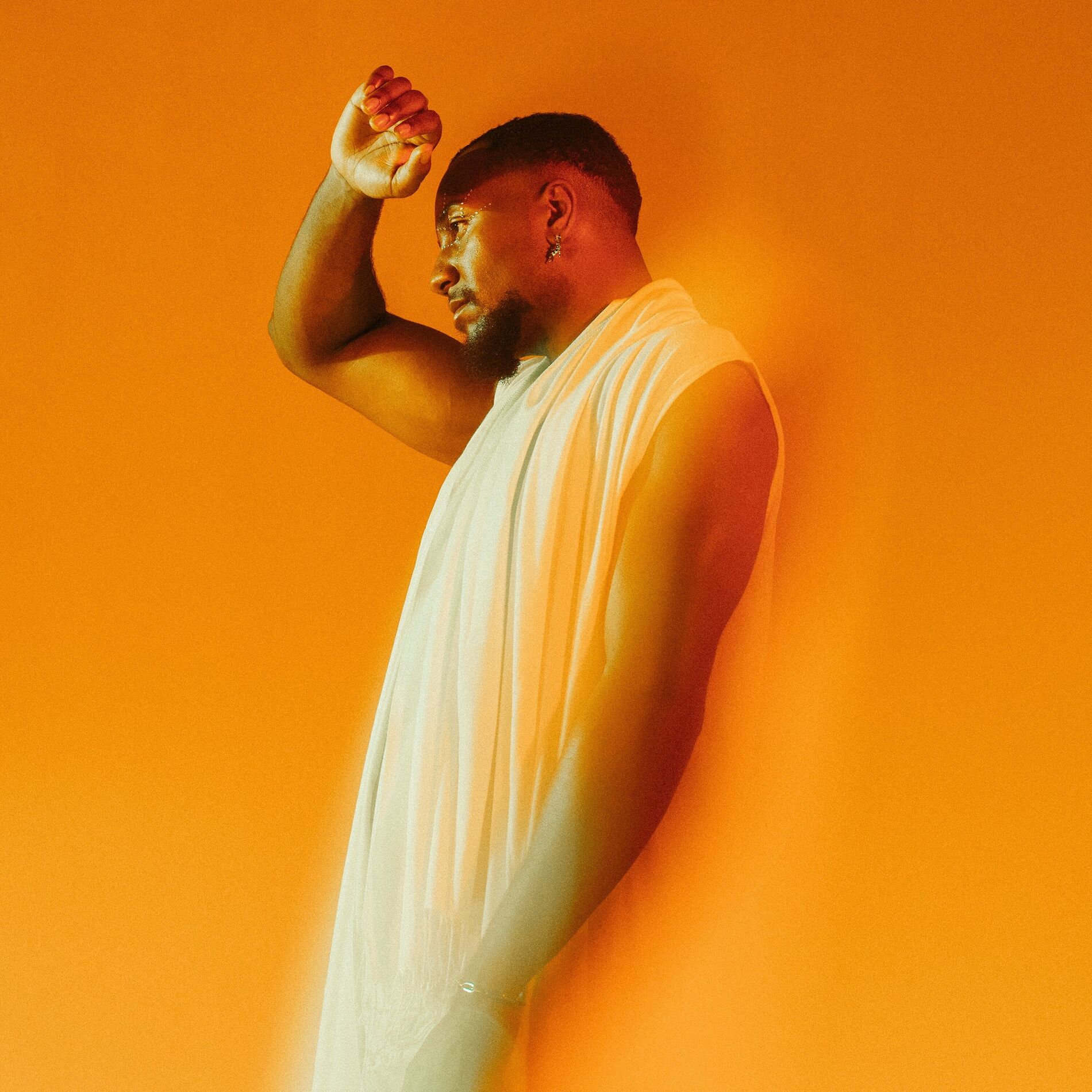 Album cover of Fold the Light.
