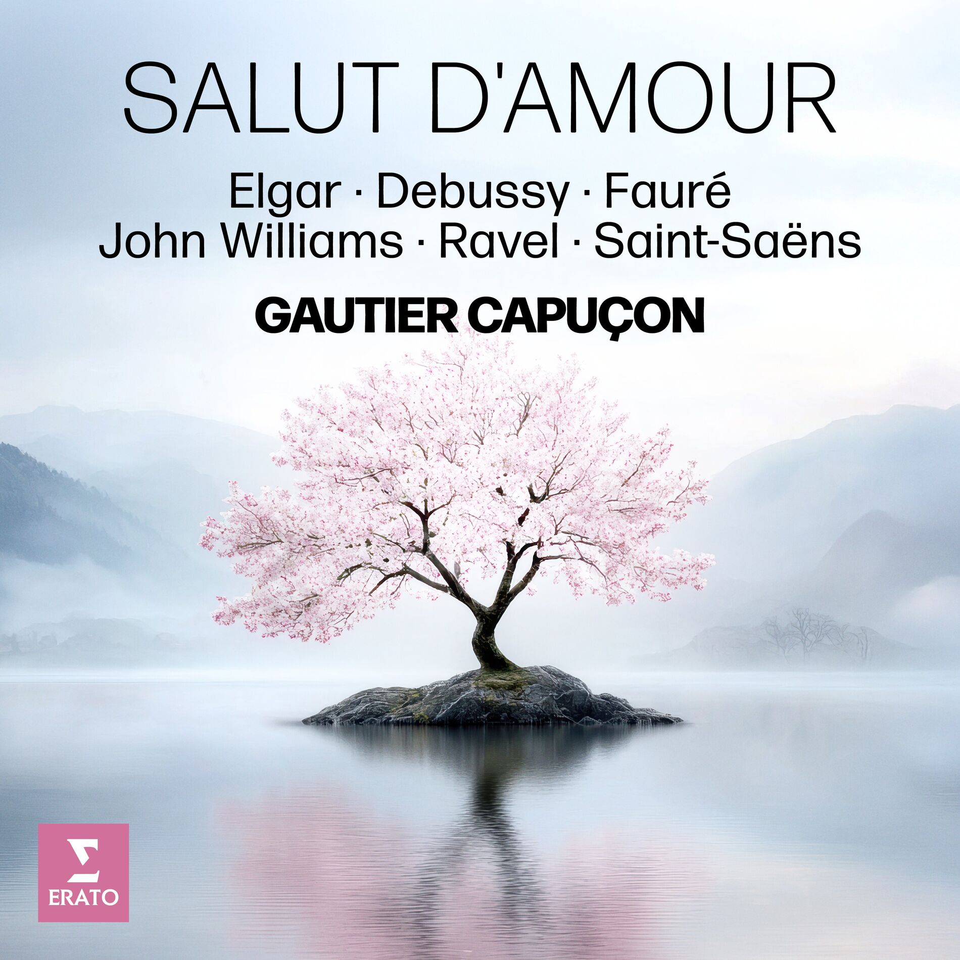 Album cover of Salut d'amour - Elgar, Debussy, Fauré, John Williams, Ravel, Saint Saëns