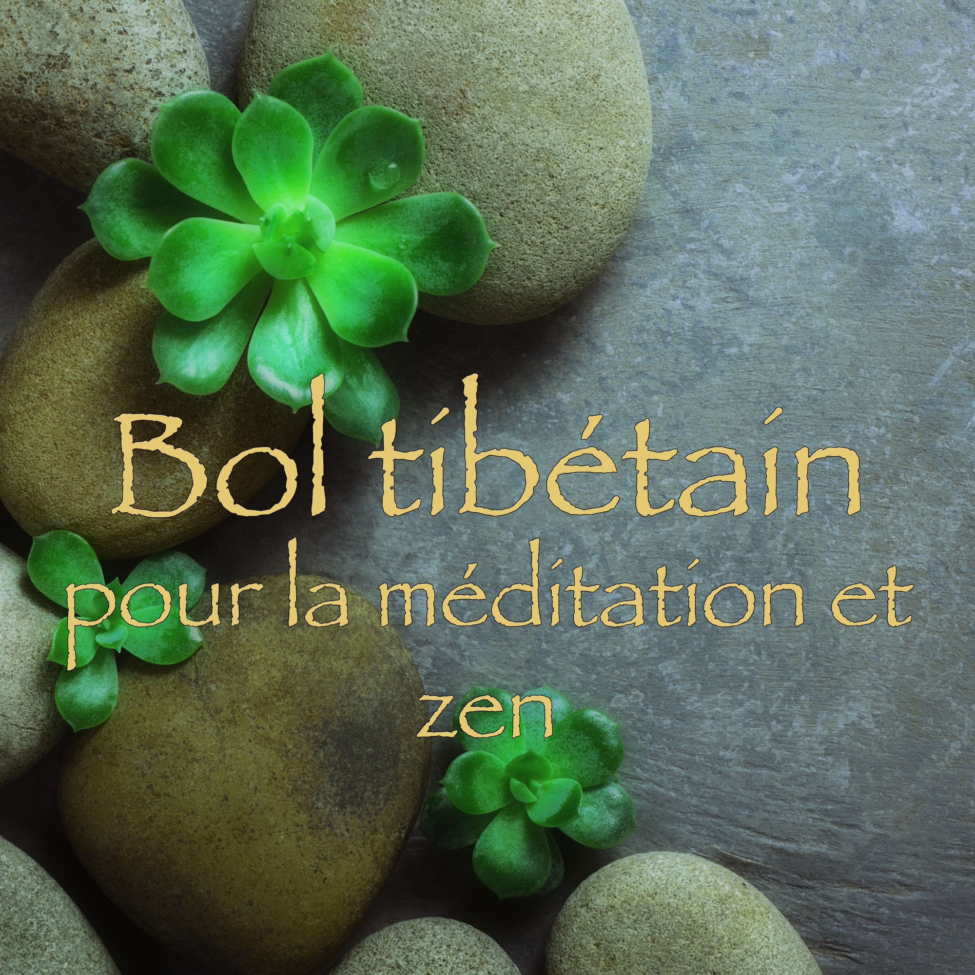 Album cover of Bols tibétain