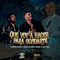 Cover of Qué Voy A Hacer Para Olvidarte
