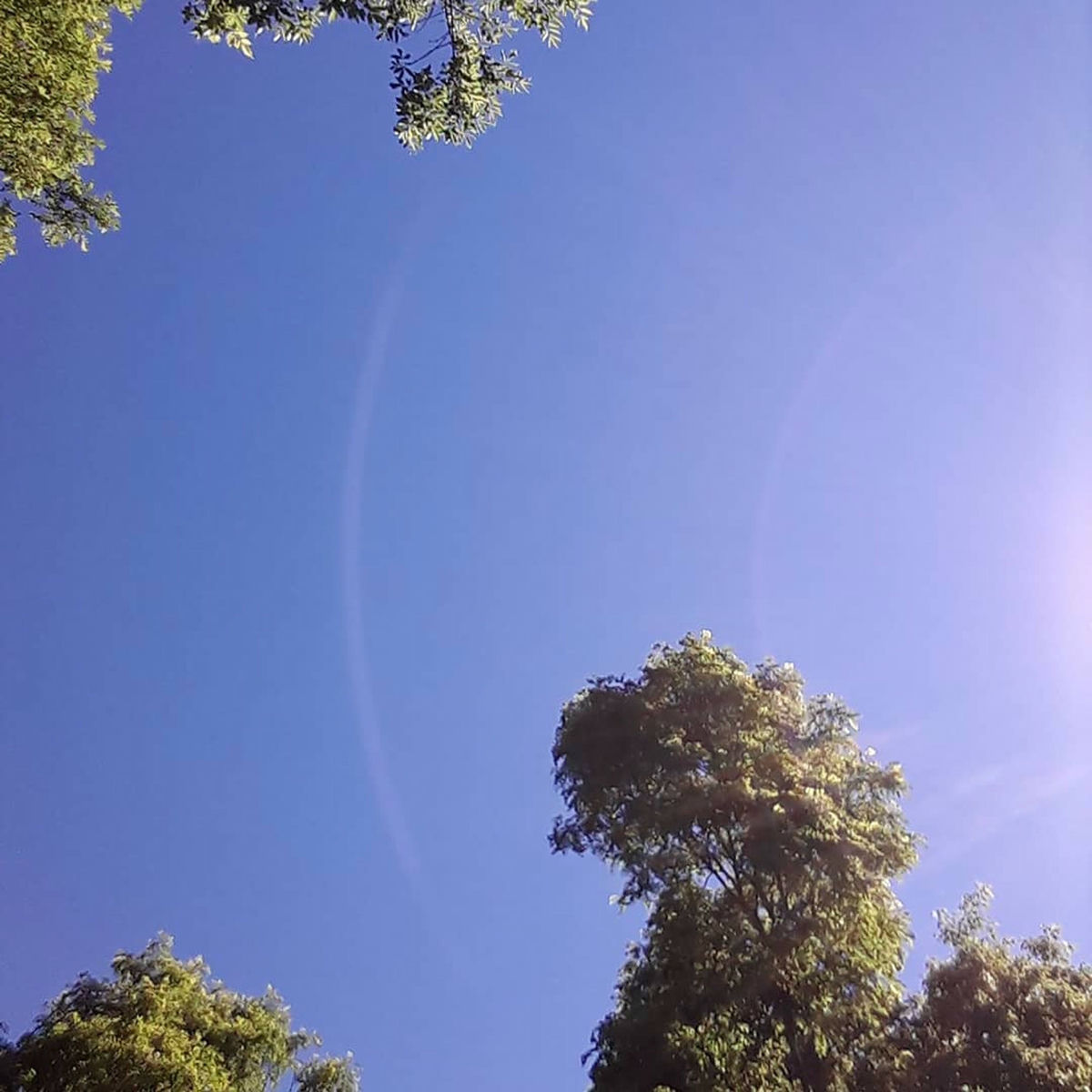 Album cover of Untitled VI