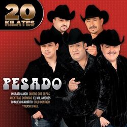 Cover of 20 Kilates